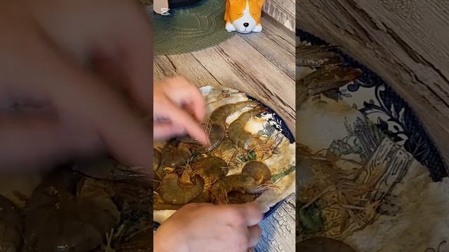 Мастерство и техника