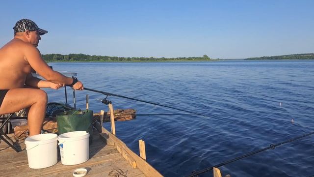 САМАЯ ЛУЧШАЯ РАБАЛКА 2024_ПОПЛАВОК ФИДЕР КОРМАК #рыбалк?