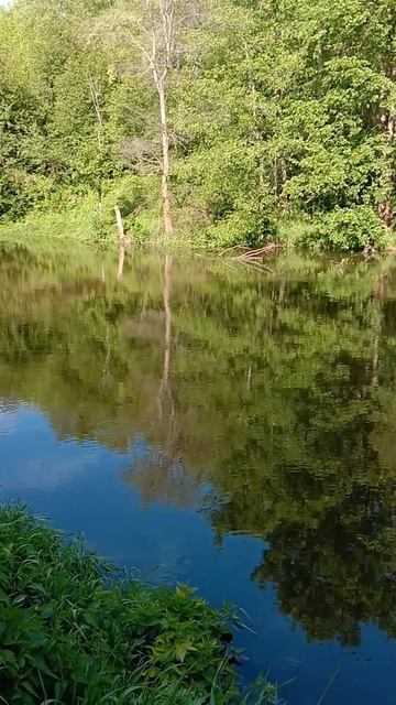 ПЕРВАЯ НЕУДАЧНАЯ РЫБАЛКА С НОЧЕВКОЙ! РЕКА МАЛАЯ КОКШАГА! 24.05.2025 ГОДА ЧАСТЬ-1 #fishing #рыбалка смотреть онлайн