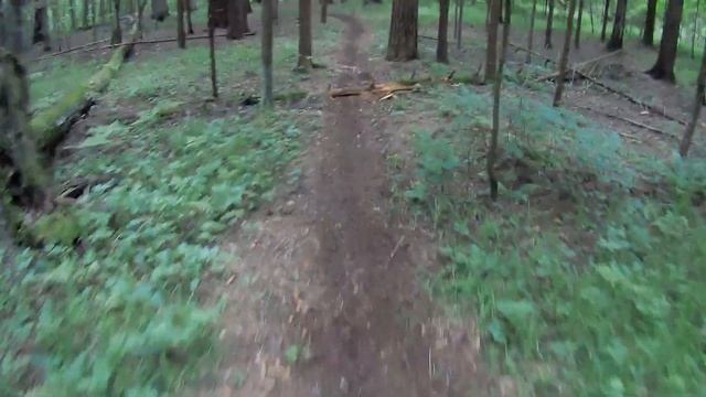 Катаю на GR8 450