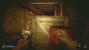 Кодовый сейф в Сталкер 2 и тайник Журналиста на Росток?