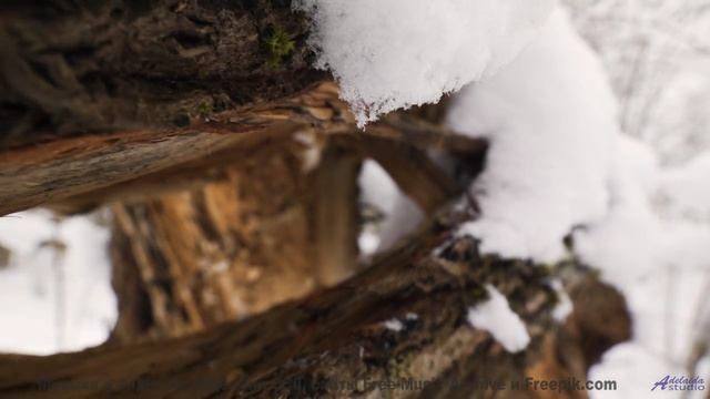 Путешествие по планете становится волшебным под этот трек - Songwriter For Life -- Taylor Poe -- Qui