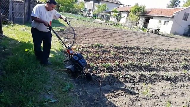 Копаене на картофи с Husqvarna Tf 334