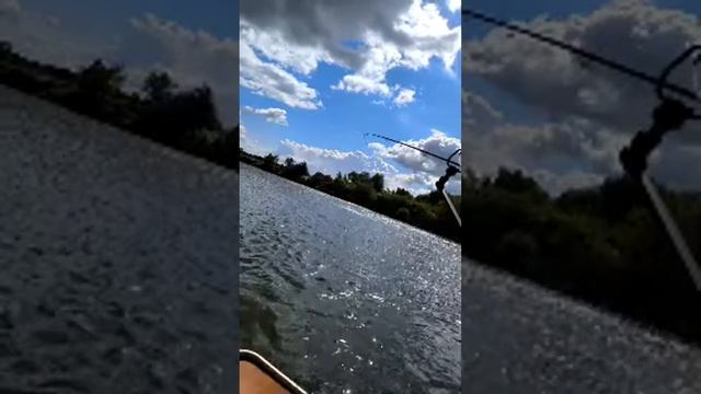 Plotnik Fishing в прямом эфире!