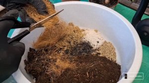 ГРУНТ для АЛОКАЗИЙ своими руками! Спецдобавки в помощ?