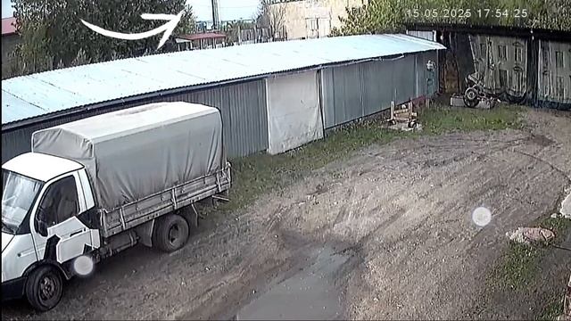 Говяжий стейк гриль (средней прожарки) упал с неба!