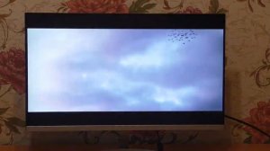 Монитор DEXP DF24N1T видео 1