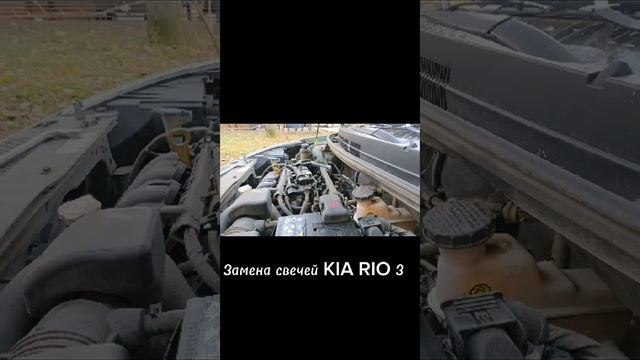 21 ноября 2024 г.