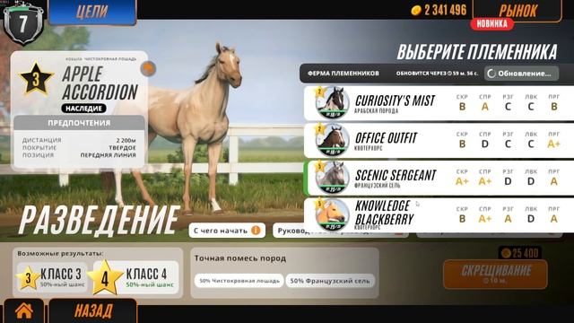 ОЧЕНЬ МНОГО ТРЕНИРОВОК ▶ Rival Stars Horse Racing #14 ▶ПРОХОЖДЕНИ