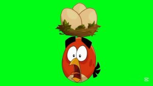 Ред из Энгри Бердс Футажи Для Всех