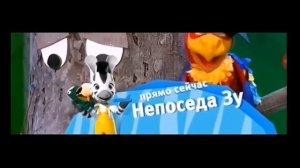 все плашки карусель