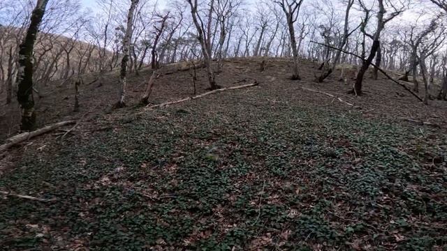 Марио Толян VS Лайтовое Ущелье. смотреть онлайн