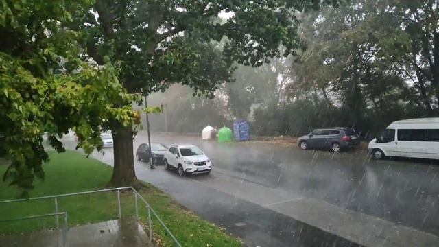 пирожки с морковкой🥕 ,перерабатываем рыбу🐠...#жизньв