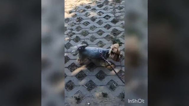 Утро, 8-45. И уже жарко!!! смотреть онлайн