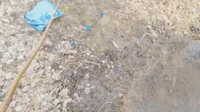 И  у  дома..и  рыбалка.