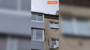 Хабаровчане  пытаются спасти запертых в квартире кошек