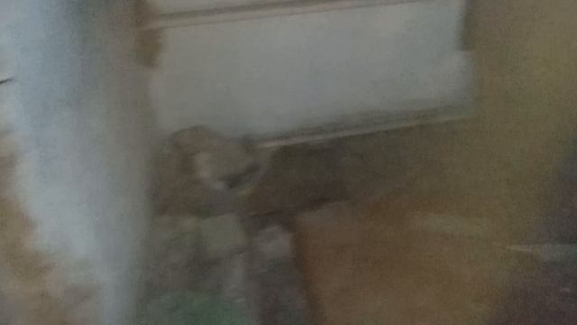 Цаплязавр и заброшка смотреть онлайн