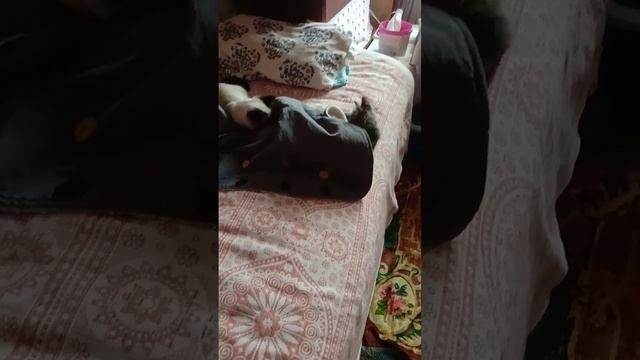 И одеться-проблема!Только положила жалетку!Когда она ?