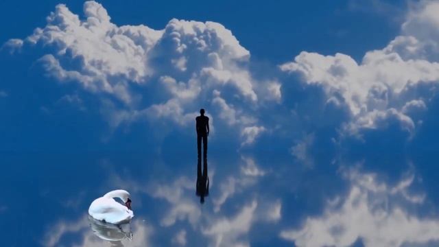 Dj Coverbot - Лебедь на пруду(remix)