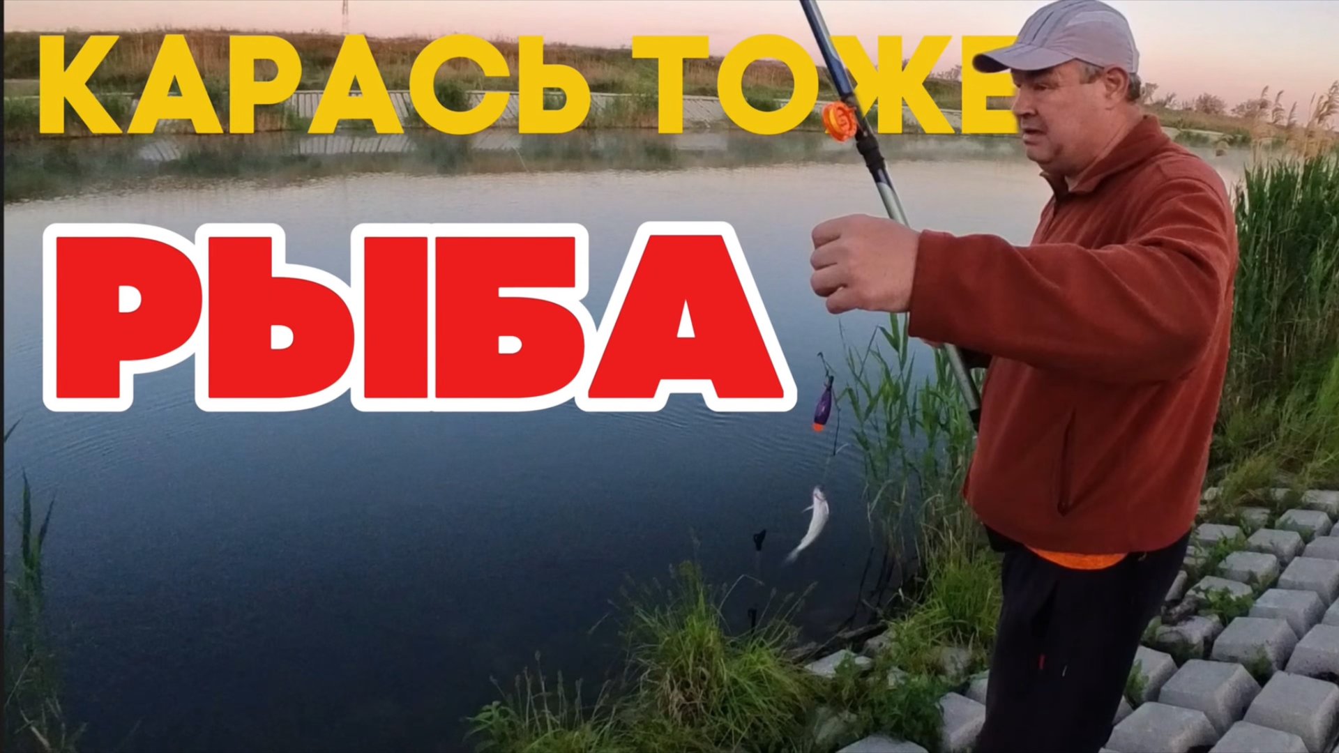 Карась тоже рыба! #vovabeer