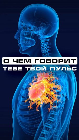 О чем тебе говорит твой пульс?