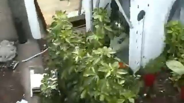 стиральная машина и кирпич смотреть онлайн