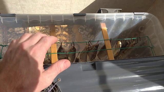 Сушилка для рыбы!