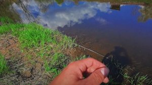 Ультралайт и БОМБАРДА На Малой Реке.