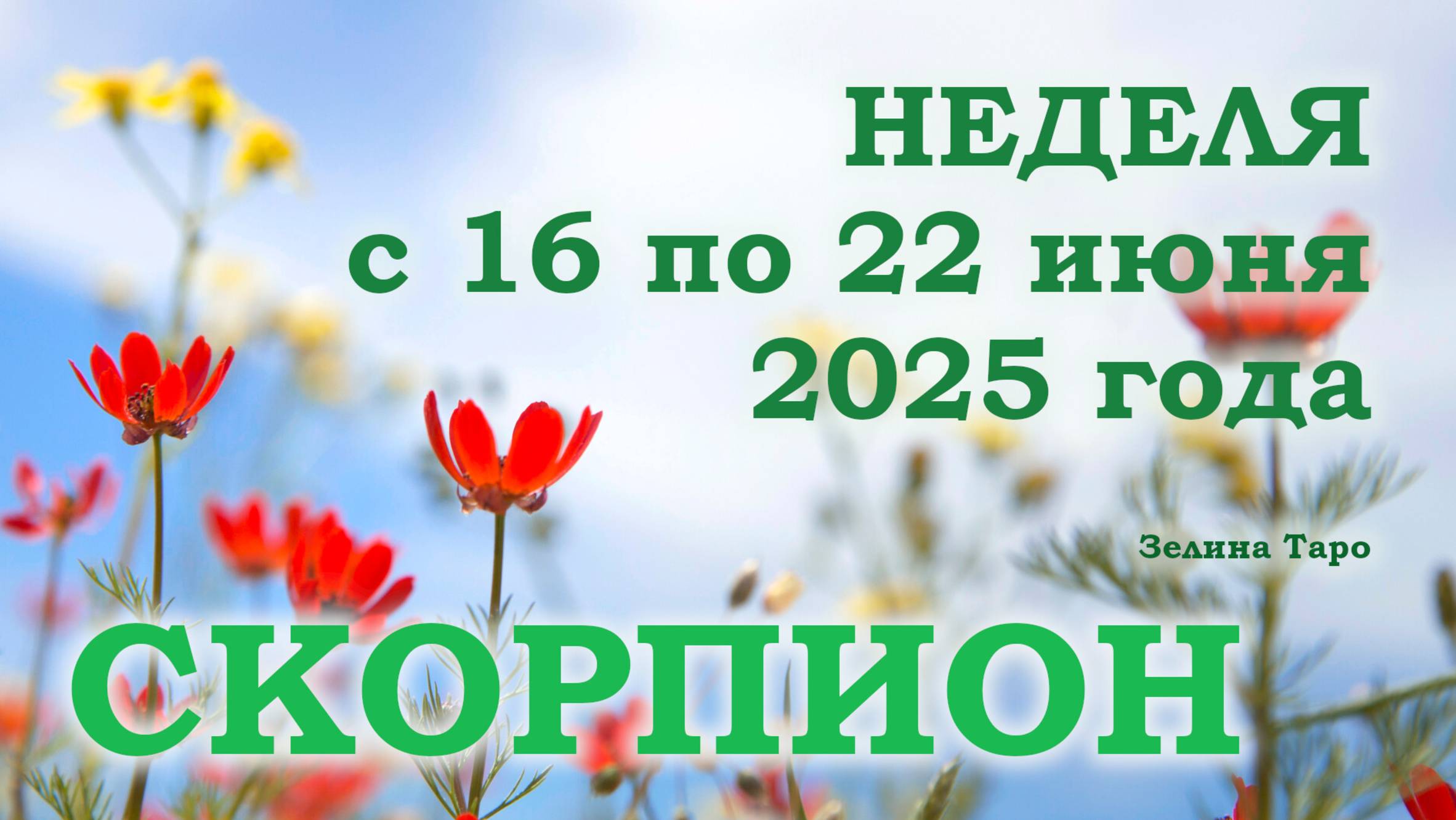 СКОРПИОН | ТАРО прогноз на неделю с 16 по 22 июня 2025 года