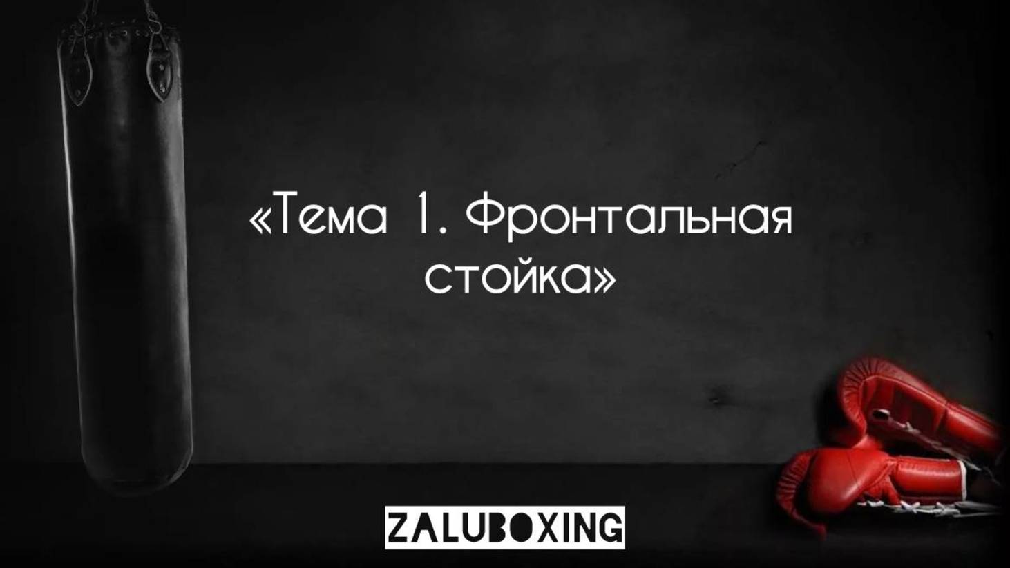Тема 1. Фронтальная стойка смотреть онлайн