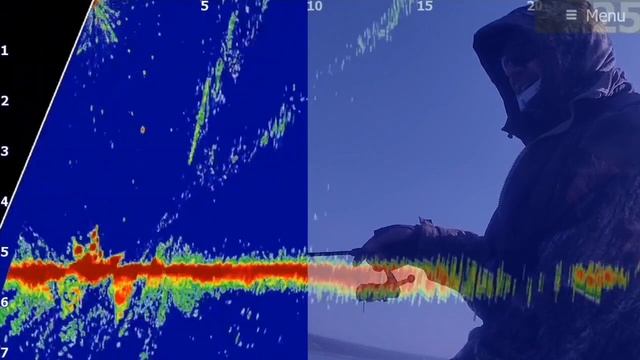 Ловля КРУПНОГО ОКУНЯ с помощью Active Target 2. Lowrance! Perch fishing! смотреть онлайн
