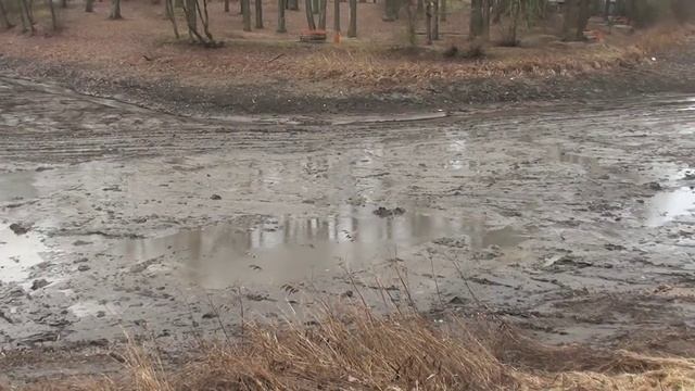 Пруд прудится