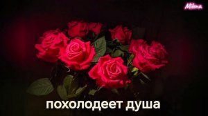 Песня миллион алых роз под гитару music Fan /mu§mi