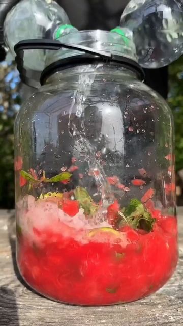 Рецепты на каждый день Видео рецепты