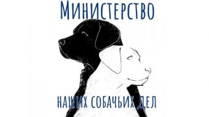 Половое созревание у собак