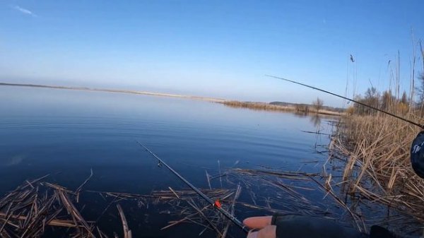 Дропшот против микроджига. Crazy fish Ringo. PSSS-610S