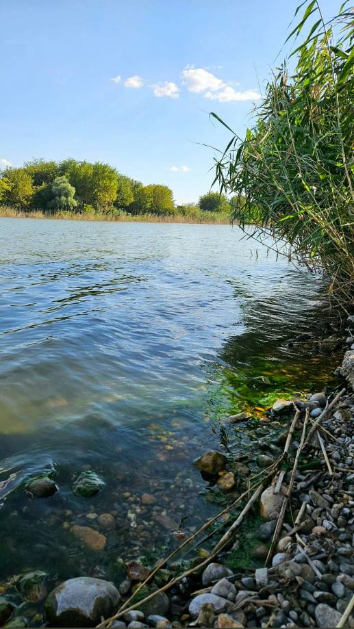 Участок 35 соток в станице Новотитаровской