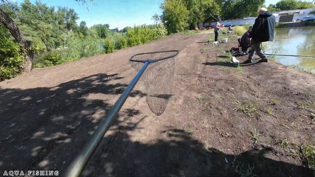 Крупный КАРП и КАРАСЬ НА ПОПЛАВОК В МАЛЕНЬКОМ ОЗЕРЕ.