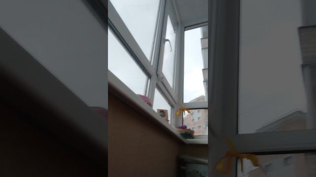 1000019947.mp4 смотреть онлайн