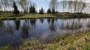 ЛОВЛЯ ЩУКИ ДЖЕРКАМИ.МАЛАЯ РЕКА.ПОЗИТИВНАЯ ПОЛУЧИЛАСЬ