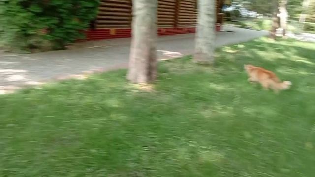 Полтава-Крым 2025 смотреть онлайн