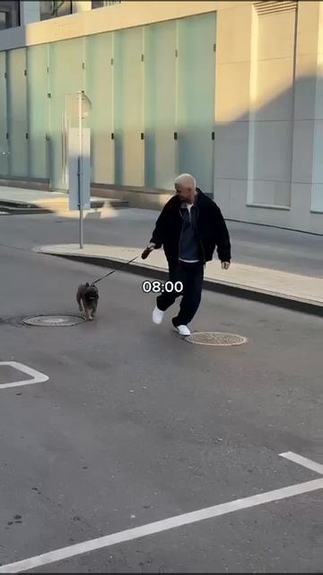 Коллекция Осень-зима 2024