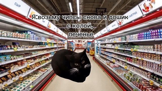 Жизнь котов 3 серия коты пошли в свой дом и купили еду ? смотреть онлайн
