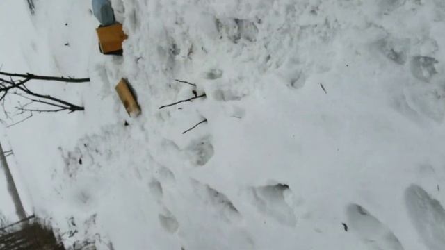 Hatsan 125 отстрел пуль по доске толщиной 30мм.