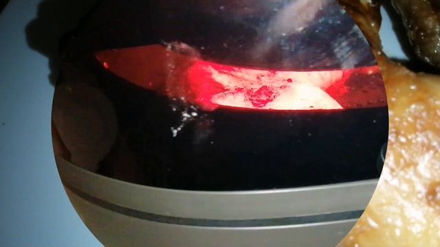 Подсолнечного масла не надо, вкус Божественный. Супер