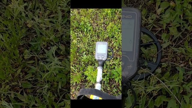 нашли монеты ссср земляника Nokta Legend