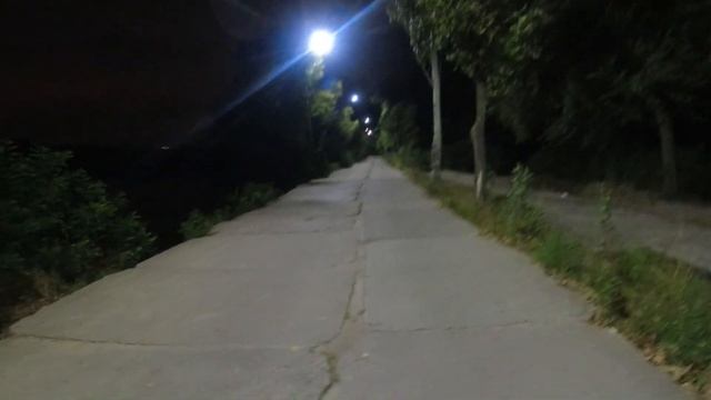 Ночная Рыбалка на Днепре🔥Встретил Лису🔥Бешенство Н