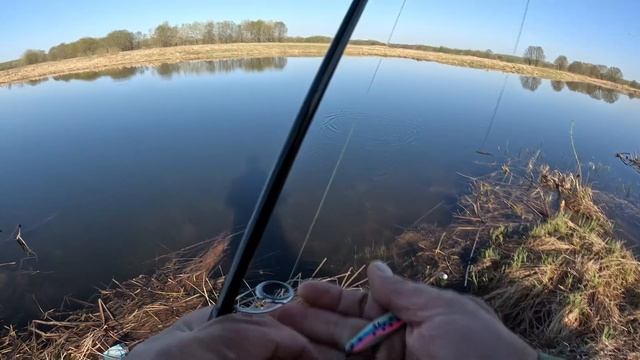 Ловимо щуку виключно на  Кастмастер)