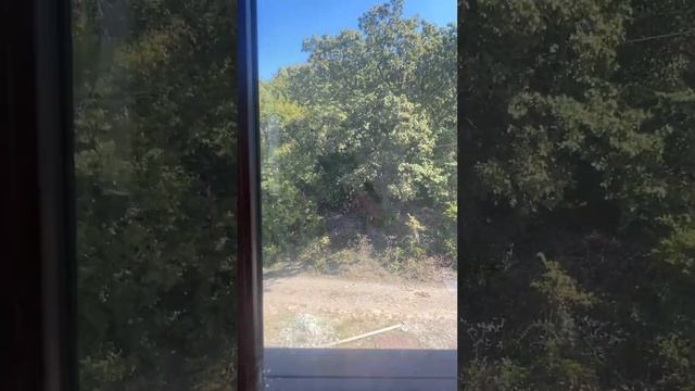 Продажа дома в Лучистом