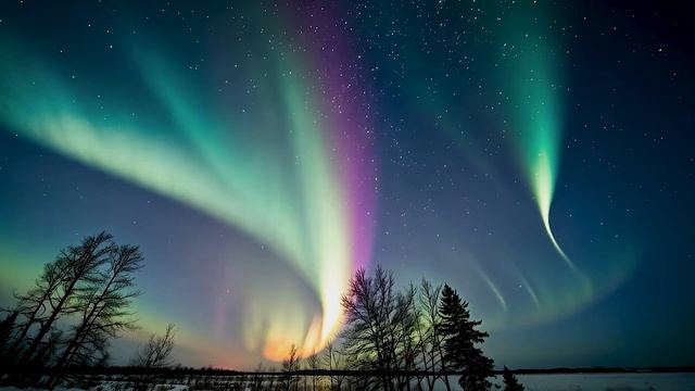 Человек без крыльев